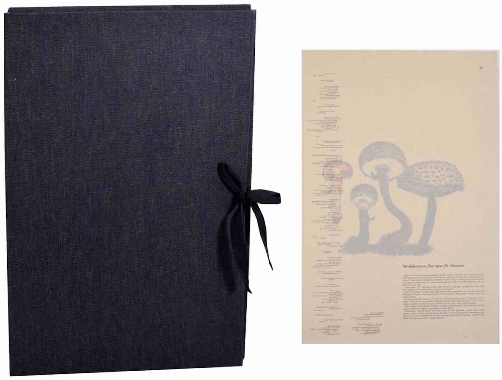 Mushroom Book by John Cage, Lois Long and Alexander H. Smith