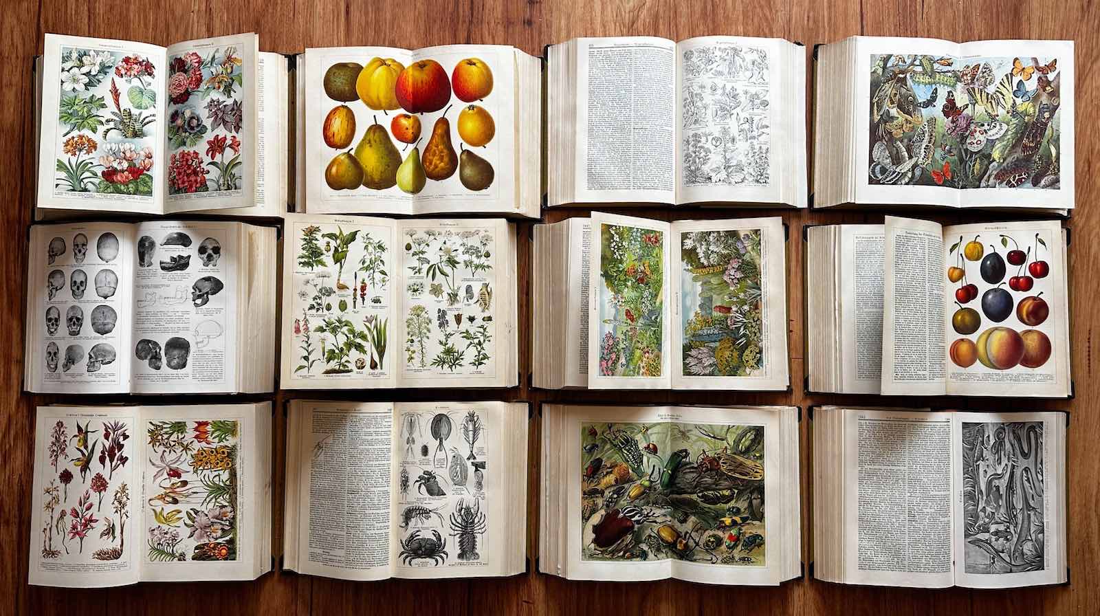 A selection of Auroura Morgan's collection
