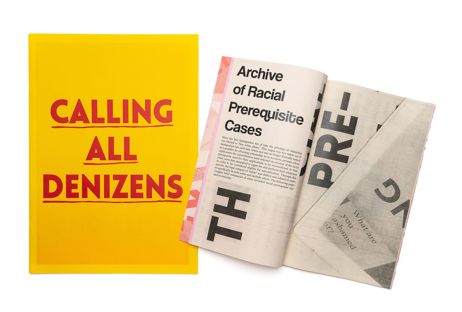 Kimi Hanauer, Calling All Denizens, 2019, letterpress, digital, silkscreen on French paper. Edition of 50, Cynthia Sears Artists' Books Collection.