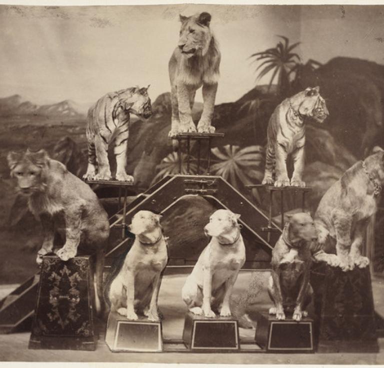 Nissen circus animals