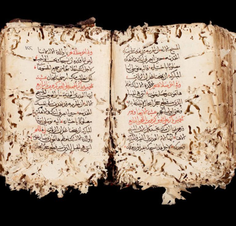 destroyed book