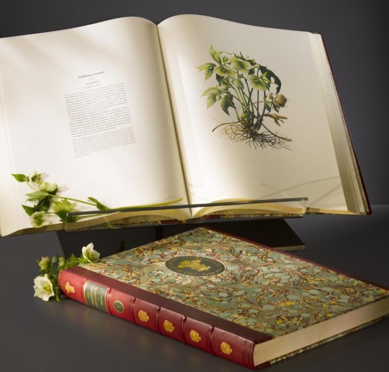 The Highgrove Florilegium