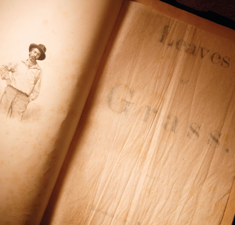 Leaves of Grass 