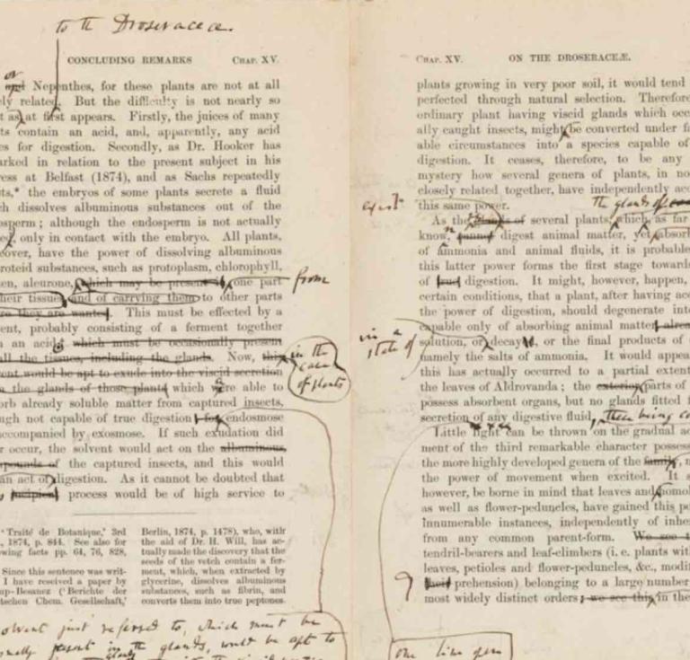 Darwin's revised proof sheets for Insectivorous Plants