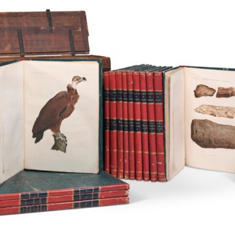 Full set of Description de l’Egypte with original wooden case