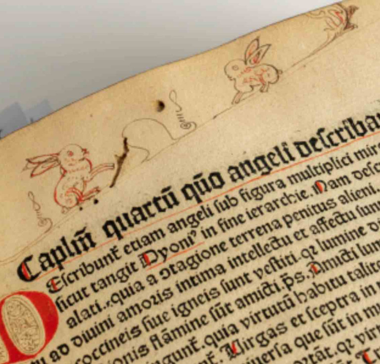 Bartholomaeus’s De proprietatibus rerum (On the Properties of Things)