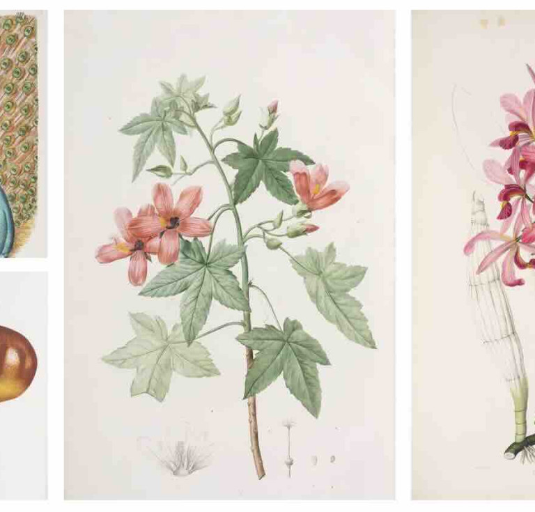 Items from the sale